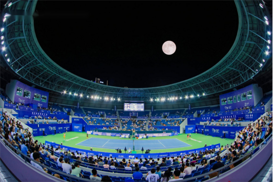 关键词可自 关键词可自